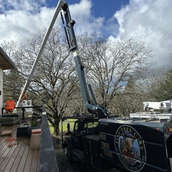 Fine Tree Care - Tree pruning - Tree Services Near Me - Sebastopol, California