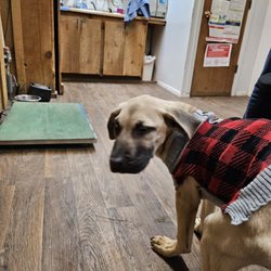 Burnham Veterinary Hospital