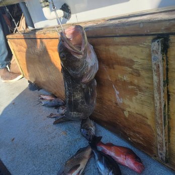 Stardust Sportfishing - Fishing Near Me - Santa Barbara, California