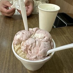 Double Twister Ice Cream Shop