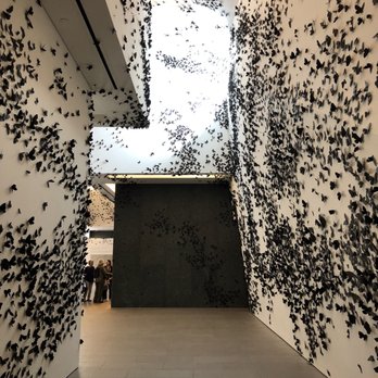 Phoenix Art Museum - "Black Cloud" by Carlos Amorales - Art Museums Near Me - Phoenix, Arizona Phoenix Art Museum - "Black Cloud" by Carlos Amorales - Art Museums Near Me - Phoenix, Arizona