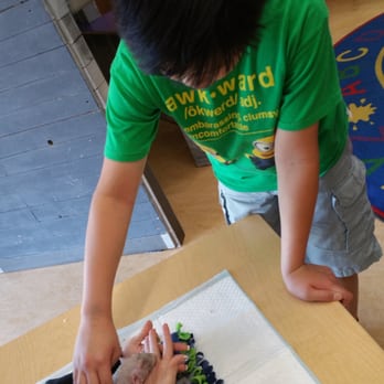 Hands On Children's Museum - Petting the rat - Children's Museums Near Me - Olympia, Washington