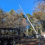 Photo of PS Tree Service