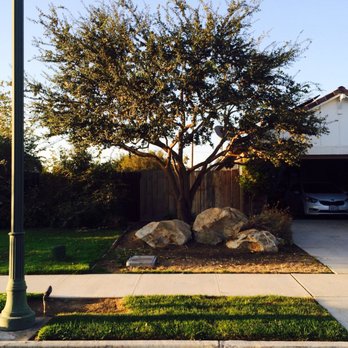 Work of Art Landscape - Boulder Design & Mature Tree Installation - Landscaping Near Me - Visalia, California Work of Art Landscape - Boulder Design & Mature Tree Installation - Landscaping Near Me - Visalia, California