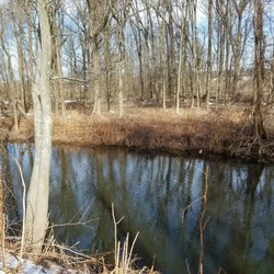 L L J Mini Mart - Whippany River behind Mini Mart