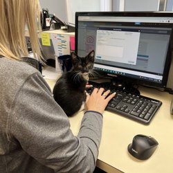 Brinker Veterinary Hospital