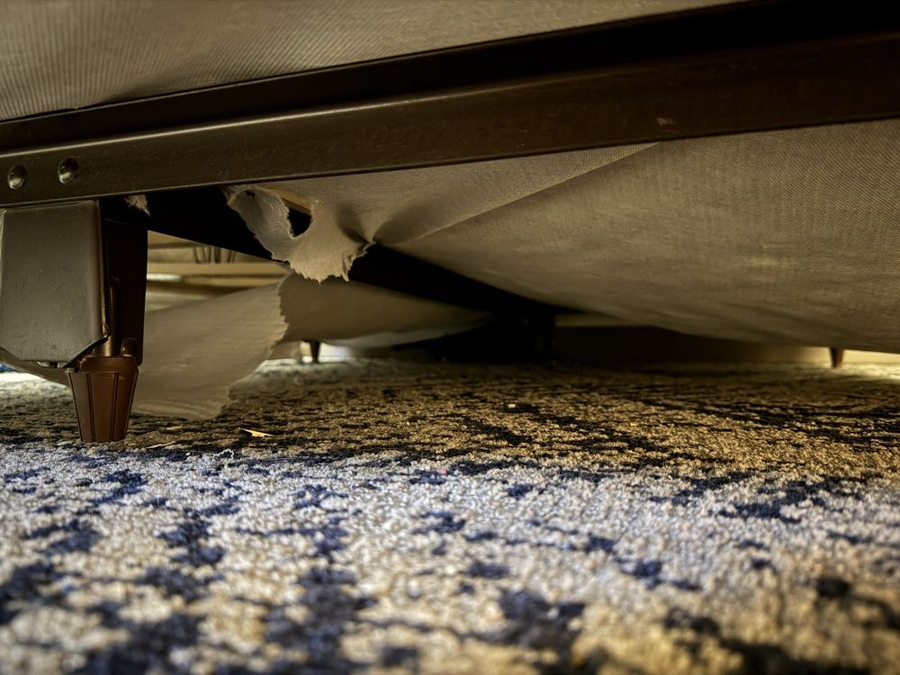 Candlewood Suites Harrisburg - wedding in Harrisburg, PA