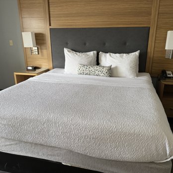 Encinitas Inn at Moonlight Beach by Best Western - Comfortable pillows and king size bed - Hotels Near Me - Encinitas, California