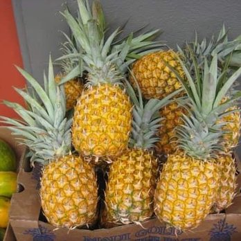 Maunakea Marketplace - Shopping Centers Near Me - Honolulu, Hawaii
