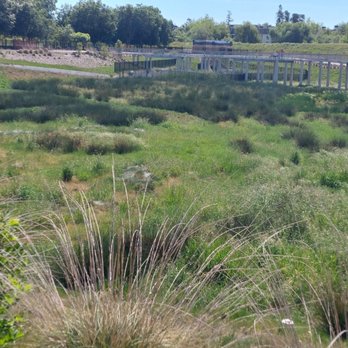 Riverview Stormwater Garden - path circles this wetland - Parks Near Me Riverview Stormwater Garden - path circles this wetland - Parks Near Me