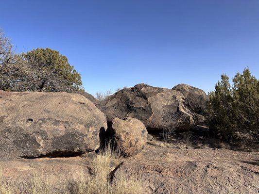 Chihuahuan Desert Research Institute by null