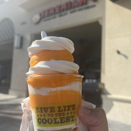 Orange Slush with Vanilla Gelati - Medium Orange Slush with Vanilla Gelati - Medium