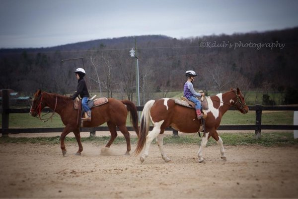Secret Passage Ranch by null