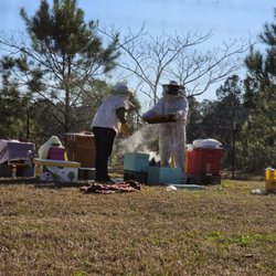 Grannykat's Apiary Supply and Bee Learning Center