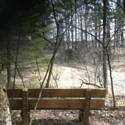 Cold Brook Preserve - View of the wetlands from one of the benches along the trail