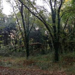 Villa Glori