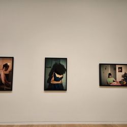 Modern Art Museum of Fort Worth - Diaries of Home exhibit