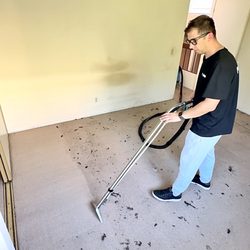 Pure Home - Carpet cleaning in progress -- deep steam extraction removes dirt and allergens.