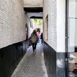 Vlaeykensgang - Walking the Corridor to Vlaeykensgang