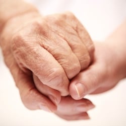 Beehive Senior Care