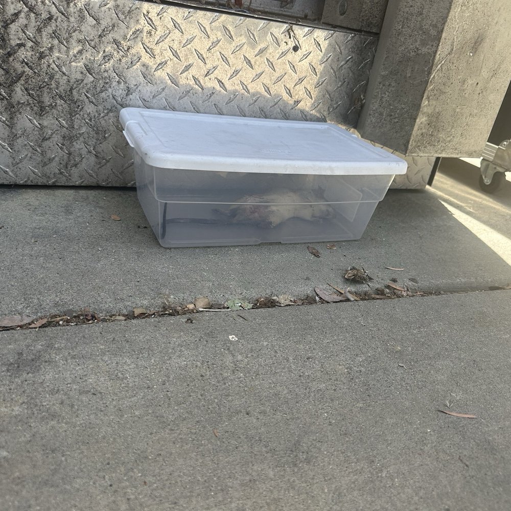 StorAmerica Self Storage - Rat we killed - Self Storage Near Me - El Monte, California