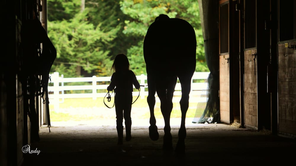 Taylor River Farm - equestrian in Hampton Falls, NH
