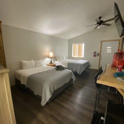 Moose Inn - Room
