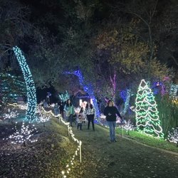 CALM Zoo - Calm Lights