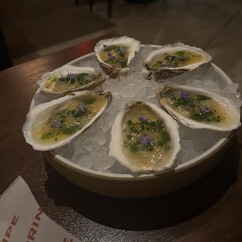 Principe - Oysters - Seafood Near Me - New York, New York Principe - Oysters - Seafood Near Me - New York, New York