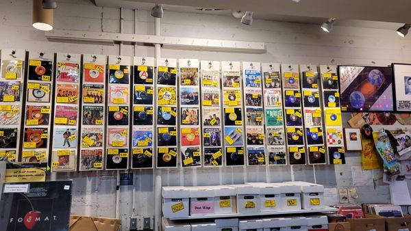 Amoeba Music by null