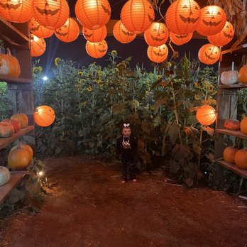 Frosty's Forest Pumpkin Patch - 2024 our first year at Frosty's pumpkin patch - Attraction Farms Near Me - Chino, California Frosty's Forest Pumpkin Patch - 2024 our first year at Frosty's pumpkin patch - Attraction Farms Near Me - Chino, California