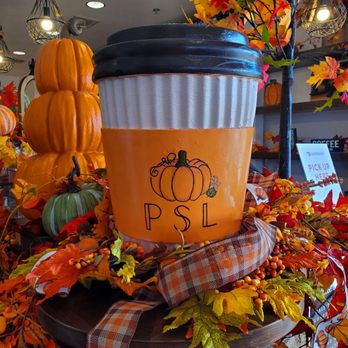 Oo de Lally Coffee - Coffee & Tea Near Me - Castle Rock, Colorado Oo de Lally Coffee - Coffee & Tea Near Me - Castle Rock, Colorado