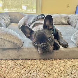ROCKY