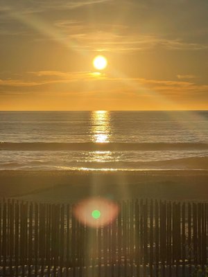 South Ponto Beach by null