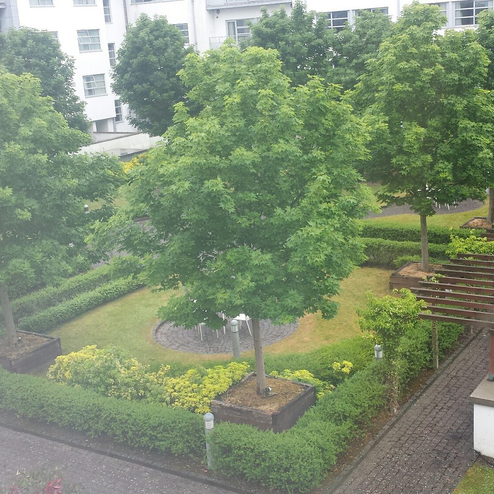 Maldron Hotel Limerick - Garden - Hotels Near Me - Limerick, LK
