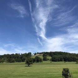 Beautiful day for a walk 9/2/23