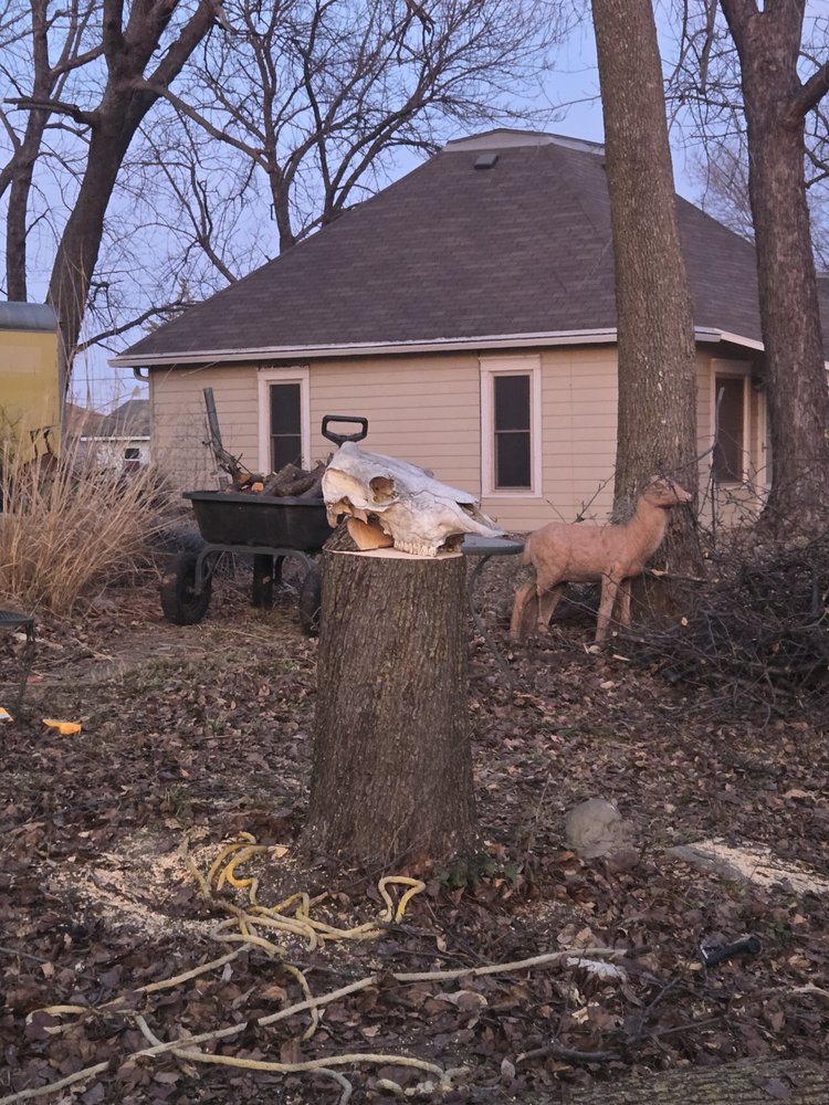 CR Tree Service - tree service in Topeka, KS