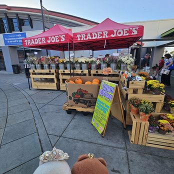 Trader Joe's - Pumpkins, fresh flowers, and live plants outside... - Grocery Near Me - San Diego, California Trader Joe's - Pumpkins, fresh flowers, and live plants outside... - Grocery Near Me - San Diego, California
