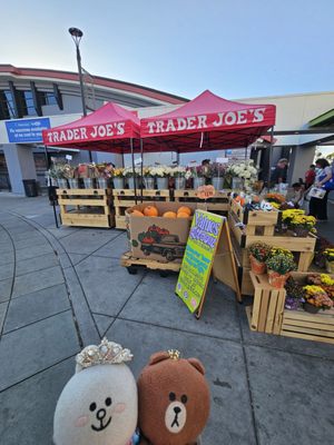 Trader Joe's by null