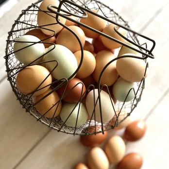 Wingspread Farm - a wire basket filled with eggs - Bakeries Near Me - Valrico, Florida Wingspread Farm - a wire basket filled with eggs - Bakeries Near Me - Valrico, Florida