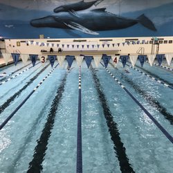 Royal Swimming