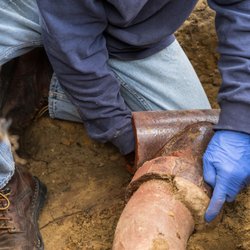 Earthworm Water Sewer Drainage