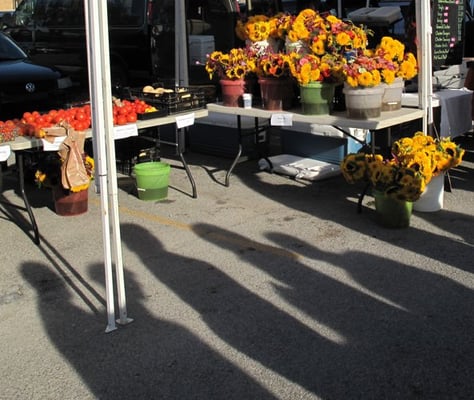 Broad Ripple Farmers Market by null