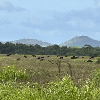 Kipu Ranch Adventures - Tours Near Me - Lihue, Hawaii Kipu Ranch Adventures - Tours Near Me - Lihue, Hawaii