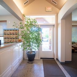 Prickly Pear Family Dental - Reception area at Prickly Pear Family Dental Prescott AZ