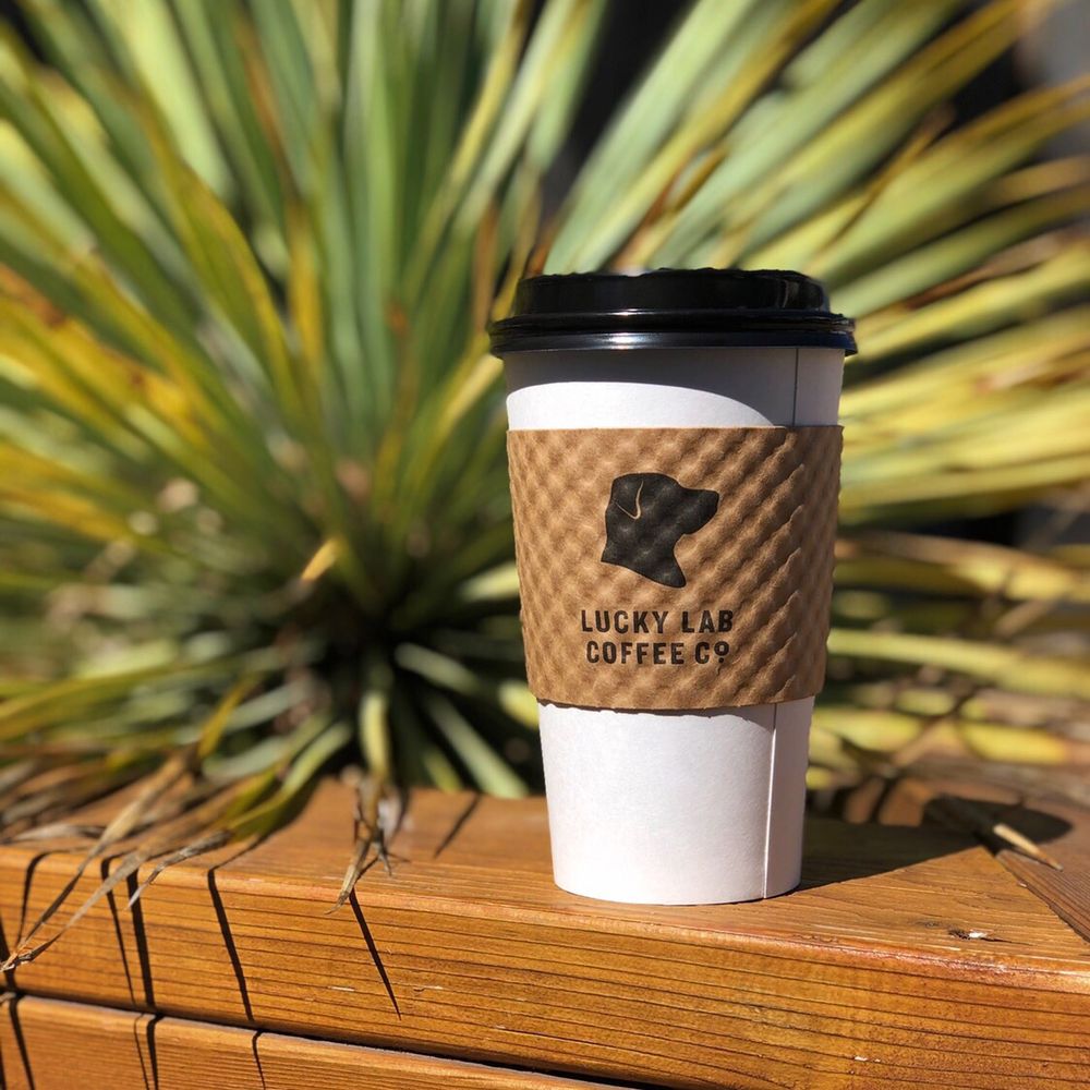 Lucky Lab Coffee - Cute covers - Desserts Near Me - Austin, Texas Lucky Lab Coffee - Cute covers - Desserts Near Me - Austin, Texas
