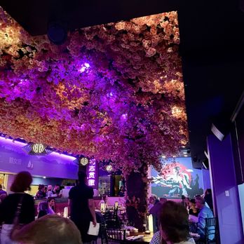 Sora - Cherry blossoms and art in the dining area. - Asian Fusion Near Me - Cleveland, Ohio Sora - Cherry blossoms and art in the dining area. - Asian Fusion Near Me - Cleveland, Ohio