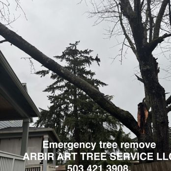 Arbor Art Tree Service - Tree Services Near Me - Portland, Oregon Arbor Art Tree Service - Tree Services Near Me - Portland, Oregon
