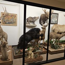 Mount Angel Abbey - Mt Angel Abbey Museum