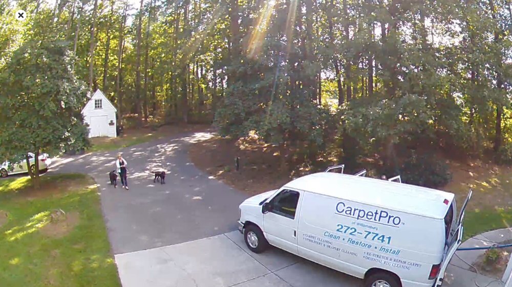 CARPET PRO Updated July 2024 Williamsburg, Virginia Carpet